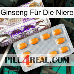 Ginseng Für Die Niere new12